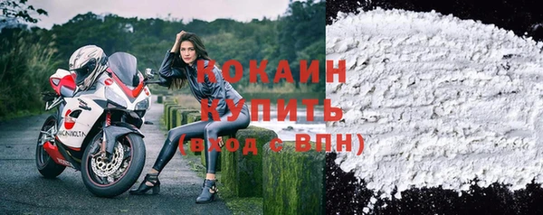 индика Алексеевка