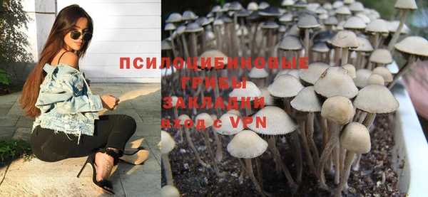 спиды Алзамай