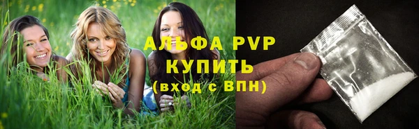 индика Алексеевка