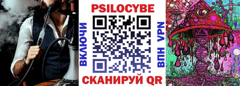 Псилоцибиновые грибы Psilocybe Крым