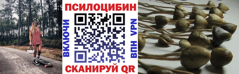 цена наркотик  Крым  Галлюциногенные грибы мицелий 